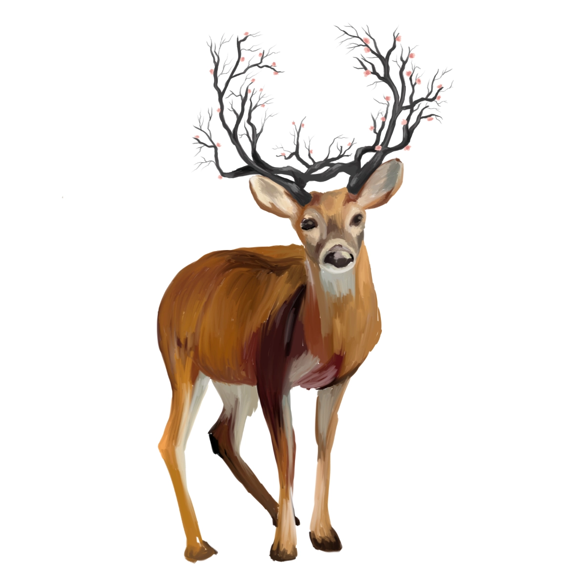 Selección de animales ilustrados de la colección Curious Aminals creada para Silkye.