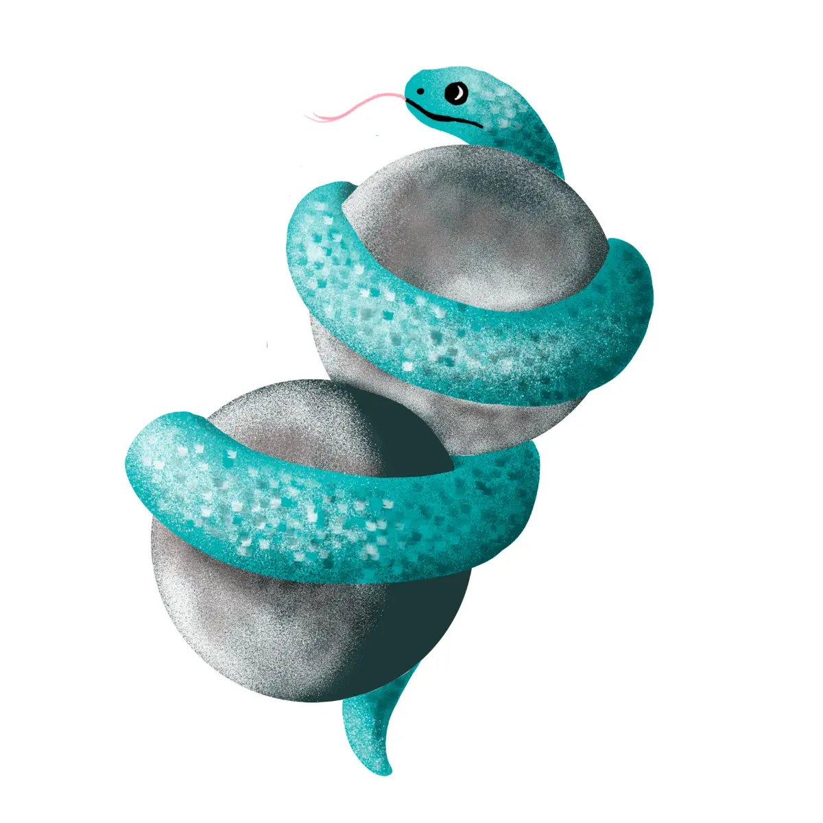 Selección de animales ilustrados de la colección Curious Aminals creada para Silkye.