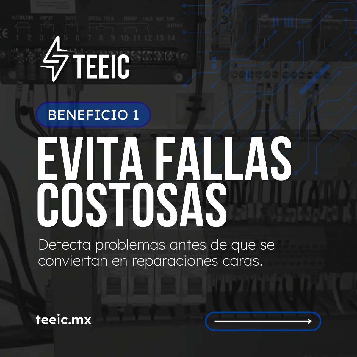 Logo de TEEIC