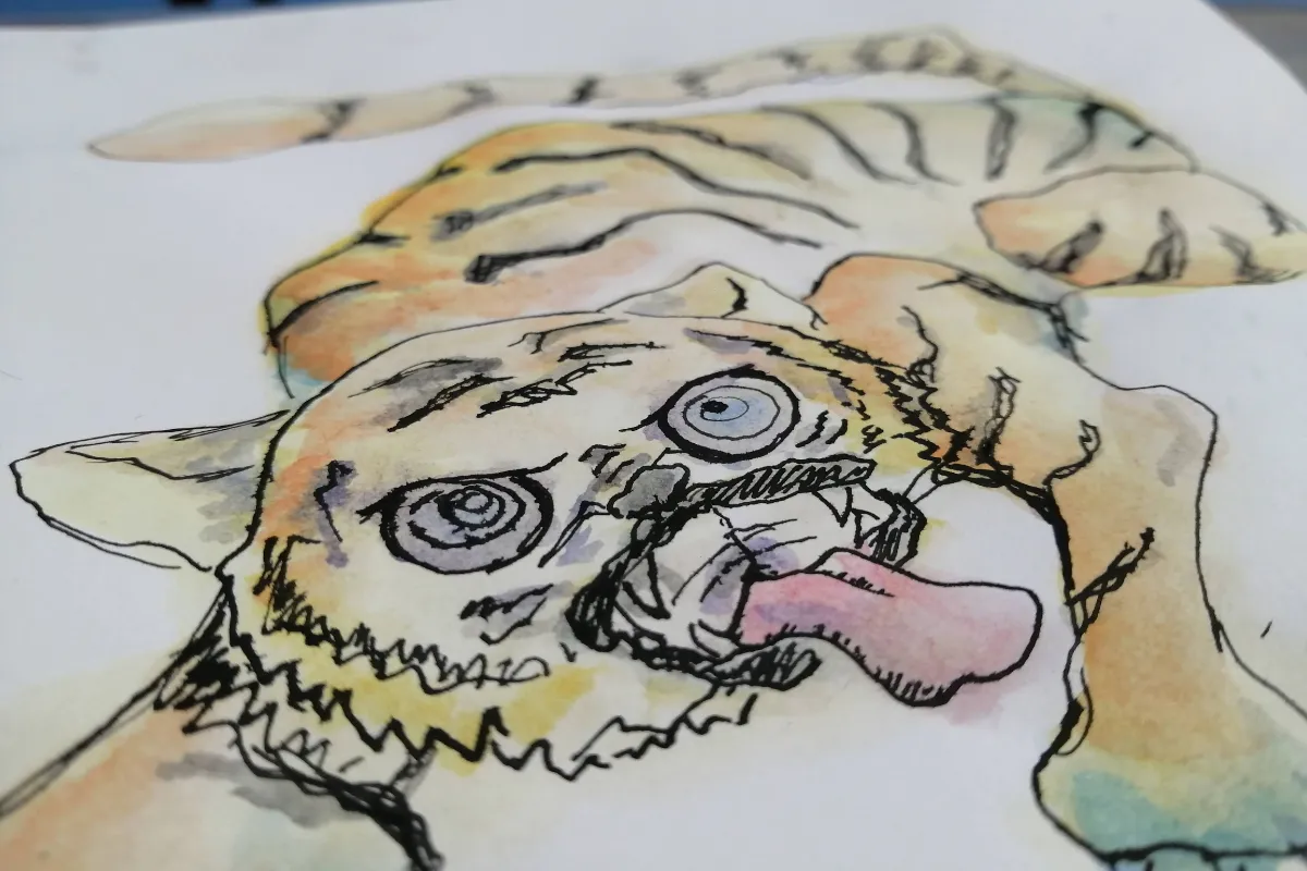 Ilustración en acuarela de un tigre de expresión alterada visto desde una perspectiva superior.